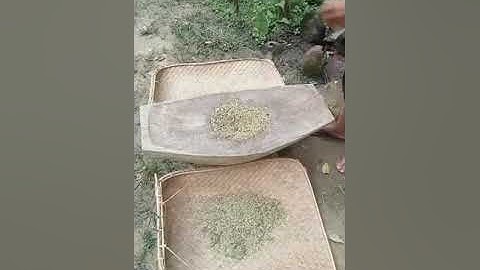 makanan orang Dayak kalimantan