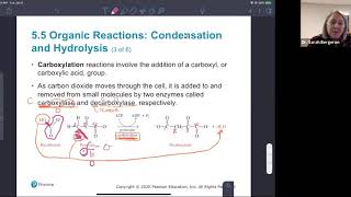 Chem 109 Chapter 5 Section 5 Pre recorded Lecture