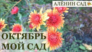 ОКТЯБРЬ 2018 МОЙ САД и ОГОРОД / Garden's tour Oktober 2018
