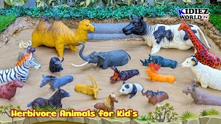 Fun Learning with Herbivore Animals Stuck in Muddy Sandbox! | Kidiez World TV