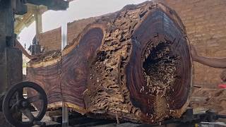 Shocking Trembesi Wood Cutting 🔥 Huge Log Reveals Incredible Grain Pattern!