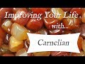 CARNELIAN 💎 TOP 4 Crystal Wisdom Benefits of Carnelian! | The Artist's Stone