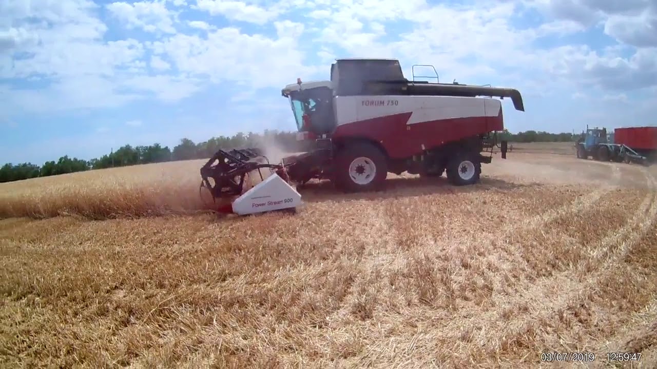 Уборка урожая 2019 на Торуме 750 (3 часть)