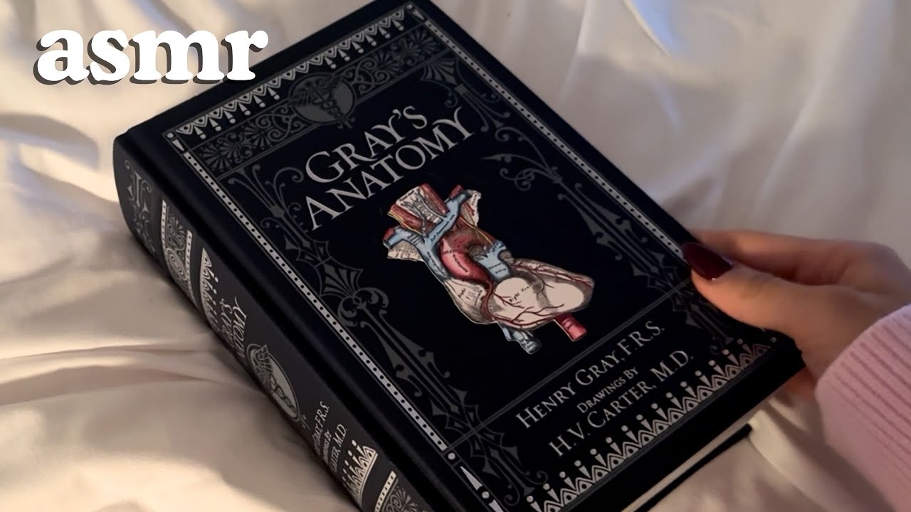 Reading you Gray’s Anatomy 🩺 II ASMR for relaxation and sleep 😴🌙 II The Human Kidney