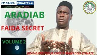 FAIDA SUR RADJAB PAR CHEICK MAMADOU KONATÉ DIT HAIDARA JUNIOR VOLUME 2