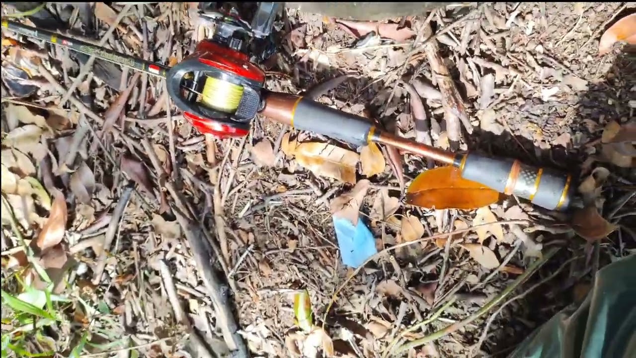 jackpot babon snake head, 