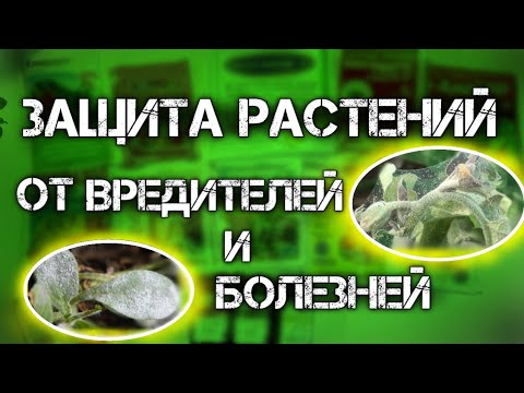 ЗАЩИТА растений от БОЛЕЗНЕЙ и ВРЕДИТЕЛЕЙ. препараты от насекомых вредителей и болезней растений.