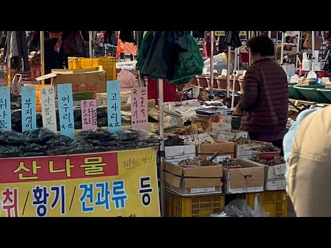 모란시장 5일장 빠르게 둘러보기~ (korea food)