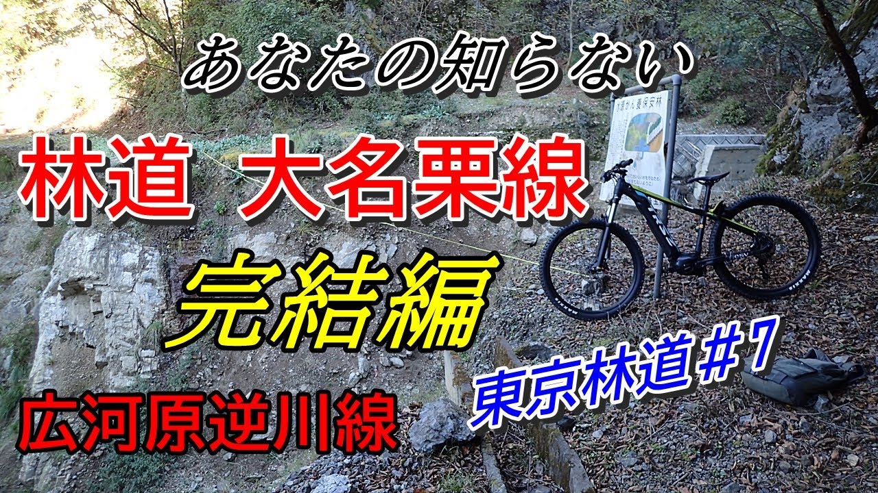 東京林道 ＃7　林道 大名栗線 (2021年）埼玉県飯能市
