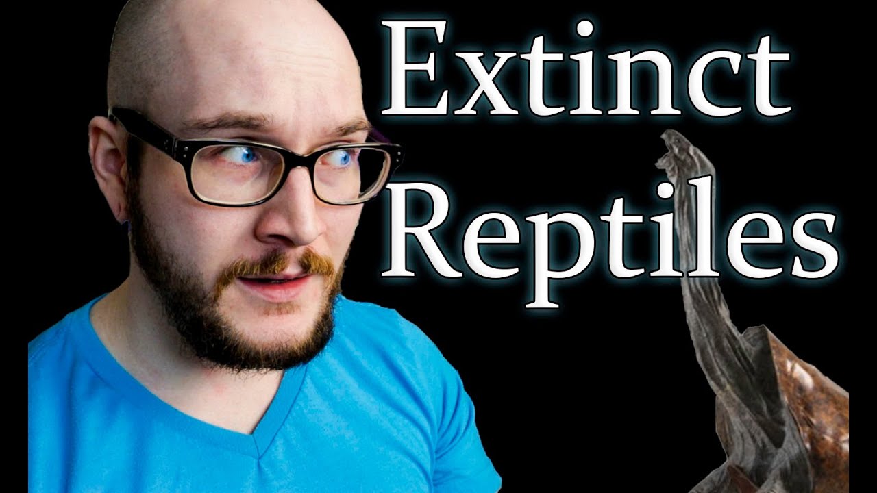 Top 5 Craziest Extinct Reptiles YouTube