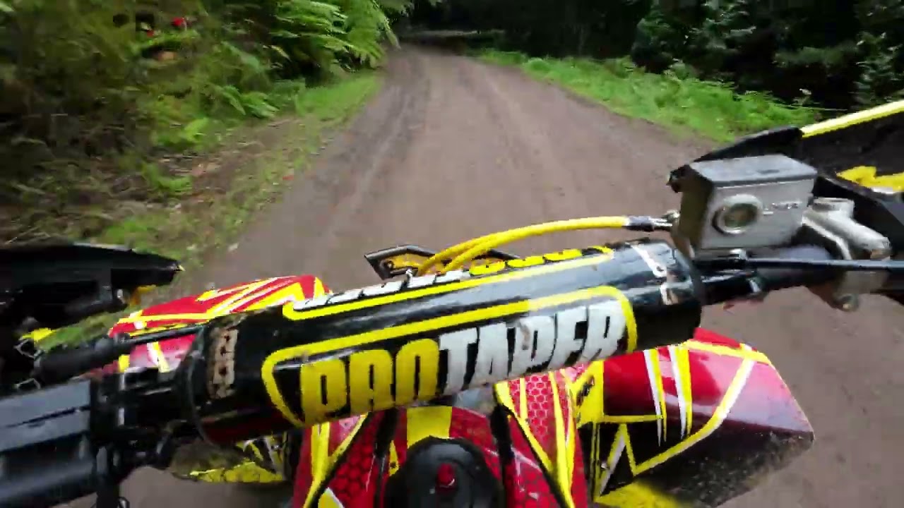 Suzuki Ltr 450 2025 Madeira - 2.2