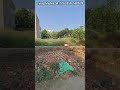 SLP639|LDA Plot Near Sitapur Road|LDA Plot in Jankipuram Vistar Lucknow|Lda Plot for Sale