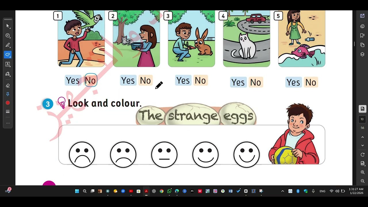 jordan team together 2nd grade 2nd semester pupils page 11 ex.5  activity page 8 ex.2+3