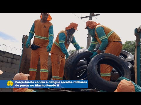Força-tarefa contra a dengue recolhe milhares de pneus no Riacho Fundo II