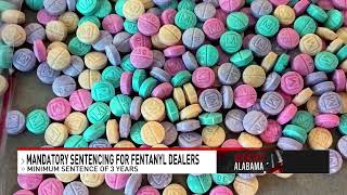 "It's killing our kids": State and local leaders joining the fight against fentanyl - NBC 15 WPMI