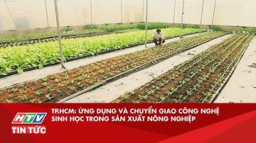 TP.HCM: ỨNG DỤNG VÀ CHUYỂN GIAO CÔNG NGHỆ SINH HỌC TRONG SẢN XUẤT NÔNG NGHIỆP| HTV TIN TỨC