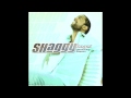 Shaggy  angel exclusive supastar remix