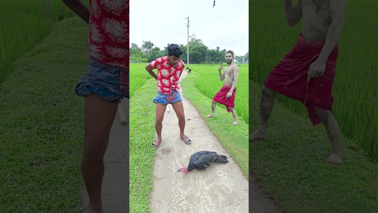 Very Special Funny Week New Video 2026