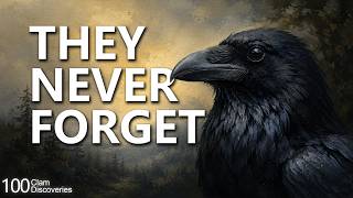 The Shocking Truth About Crow Intelligence | 100 Calm Discoveries screenshot 4