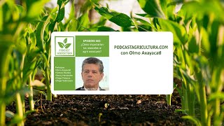 503 ¿Cómo impactarían los aranceles al agro mexicano