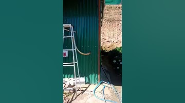 Cánh đồng hoa Cẩm tú cầu xã Xuân Thọ, Tp. Đà Lạt