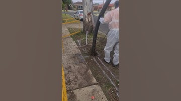 Non-Destructive Digging  #construction #shortvideo #shortclip #subscribe #support #livingfordiggin