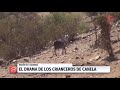 Reportaje de Tvn ah crianceros de canela