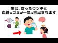 【雑学】誰かに話したくなる健康と人の役立つ雑学