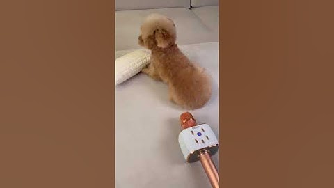 방귀 뀐 놈이 성낸다더니