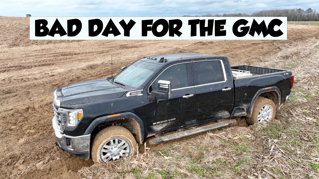 УДИВИТЕЛЬНЫЙ ДЕНЬ ФЕРМЕРСТВА В АЛАБАМЕ