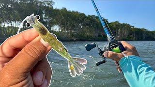 PESCARIA INCRÍVEL NO MANGUE! VÁRIAS ESPÉCIES NO CAMARÃO ARTIFICIAL E MICRO JIGS! 