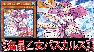 遊戯王Ads 海晶乙女パスカルス Ygopro