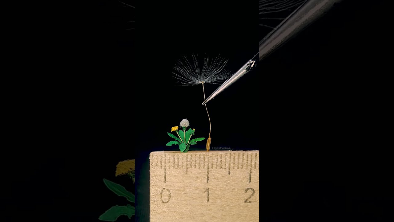 Микро одуванчик💛 