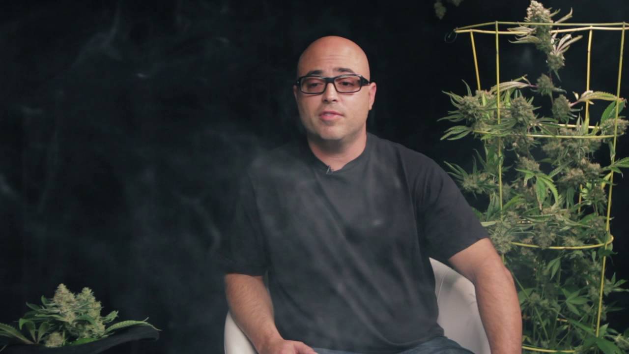 Between Two Strains Josh D Youtube