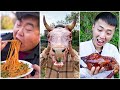 Forest life with delicous food | Tik Tok China #151