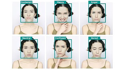 Real-Time Face Expression Detection with YOLOv11n | Emotion Recognition using Deep Learning