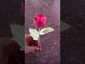 DIY - beautiful paper craft rose 🌹#papercraft #sorts #diy