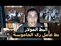 البط المولار بط عامل زى الجاموسه // عشاق الدواجن
