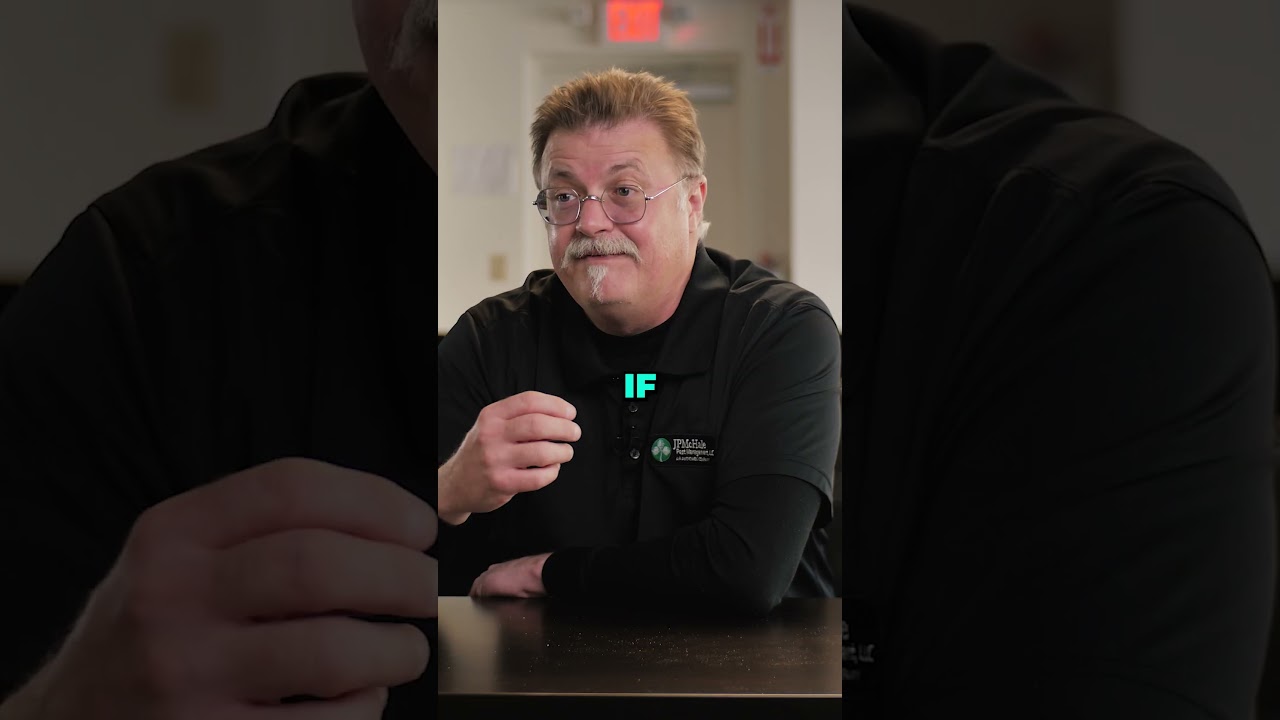 Pest Control Isn't an INSTANT Fix! 