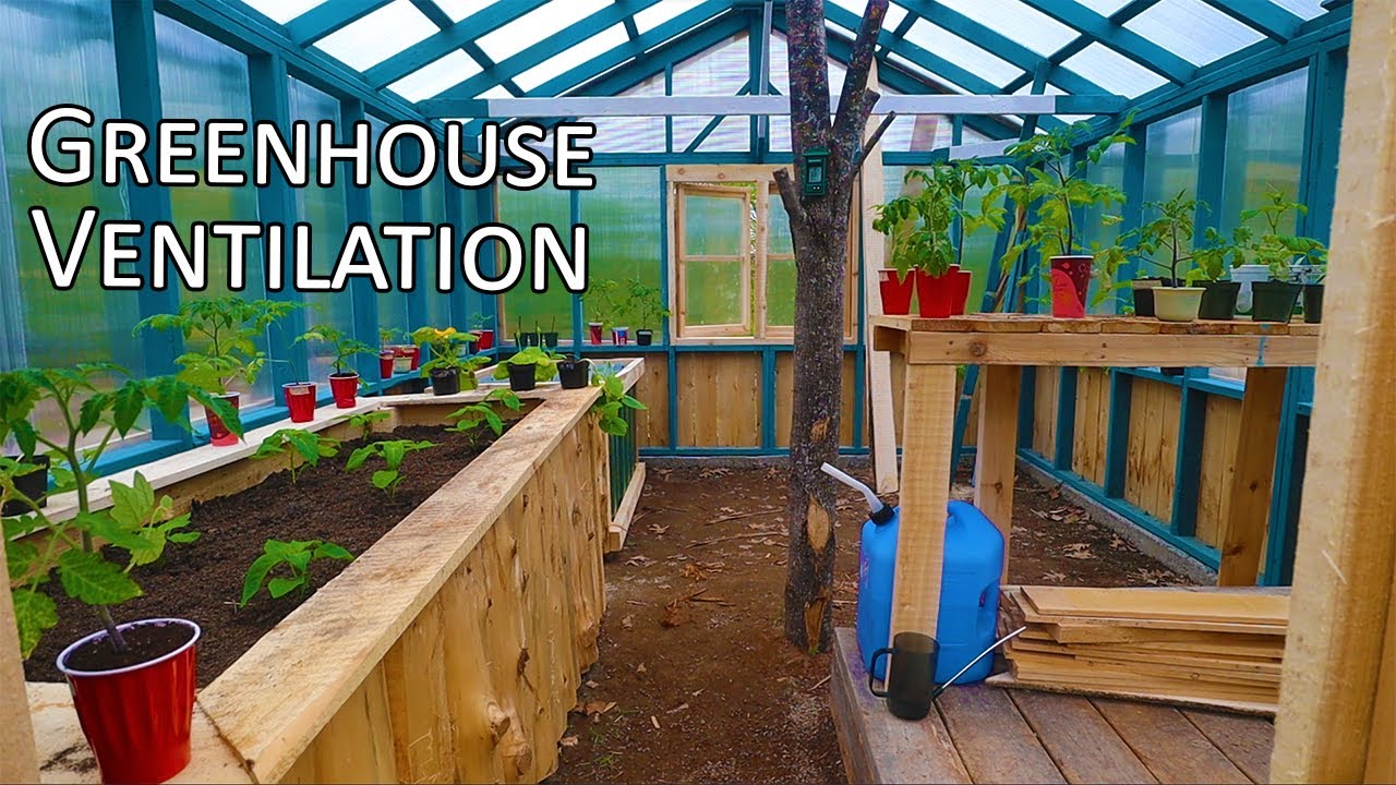 Backyard Greenhouse Ventilation at Randal Canada blog
