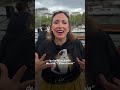 Céline Dion: les fans en croisière sur la Seine