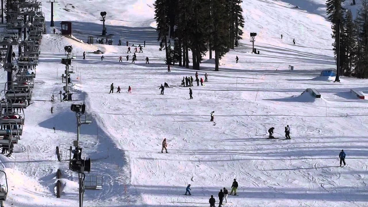 borealski