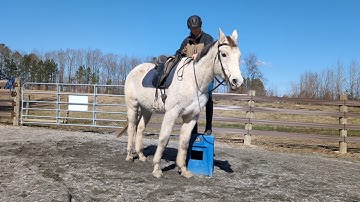 Teach your horse to come pick you up from the mounting block