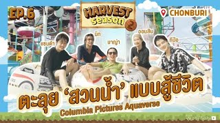 [OFFICIAL] THE HARVEST SEASON @CHONBURI EP6 | Studio Wabi Sabi