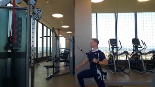 1 arm Split Squat Stance Cable Row High Attachment Wealth
