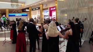 Haydn Youth String Orchestra в Галерее