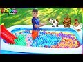 Toy Animals in a Ball Pit Pool for Kids with Jason