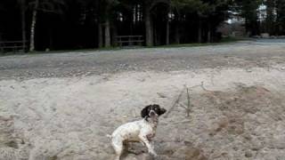 MVI_8421.AVI