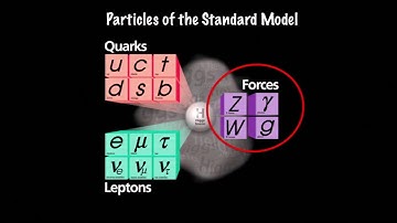 “What’s Left to Learn from Particle Accelerators?”