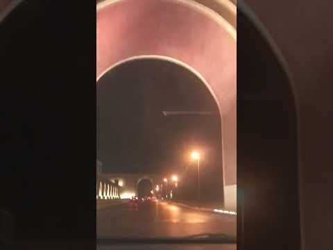     يالا بينا نعيش شوية